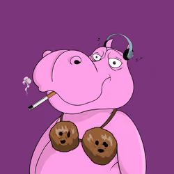 Hippo #539