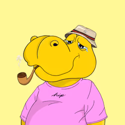 Hippo #130