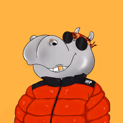Hippo #882