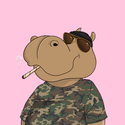 Hippo #377