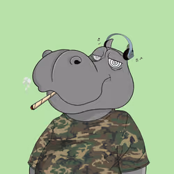 Hippo #267
