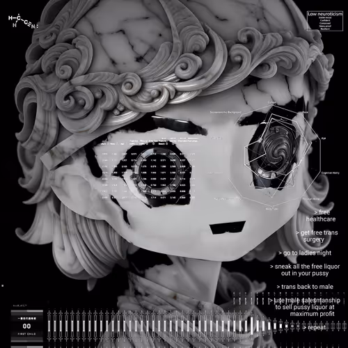 Schizoposters