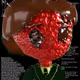 SchizoPoster #4863