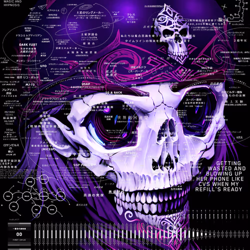 Schizoposters