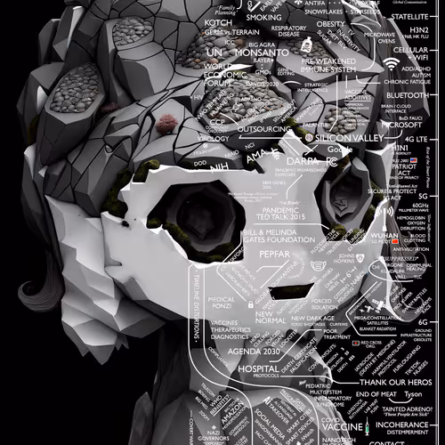 Schizoposters