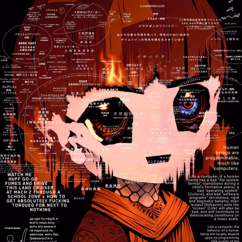 Schizoposters