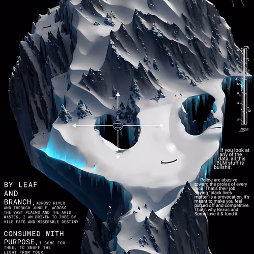 Schizoposters