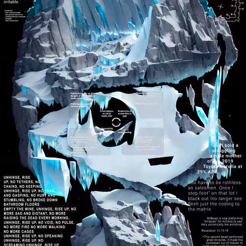 Schizoposters