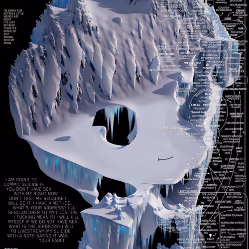 Schizoposters