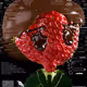 SchizoPoster #4755