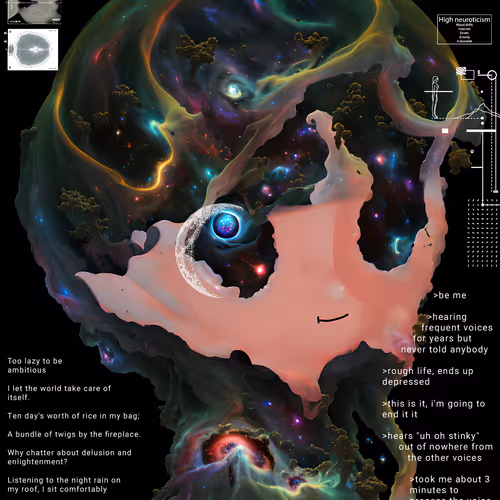 Schizoposters