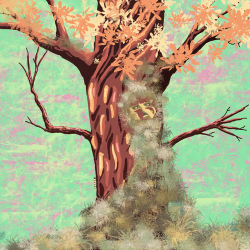 Twisted Trees 1