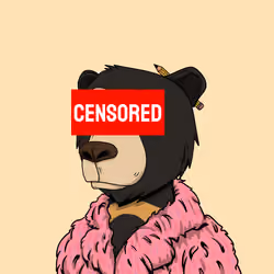 Okay Bears Rug Club #873
