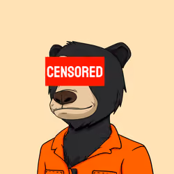 Okay Bears Rug Club #3882