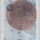 427