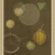242