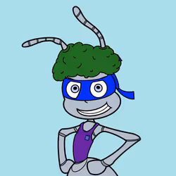 81
