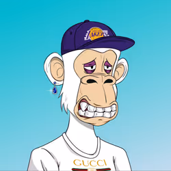 66
