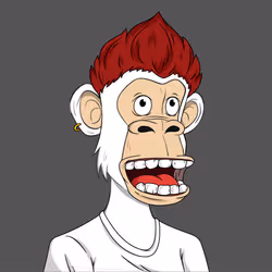 55