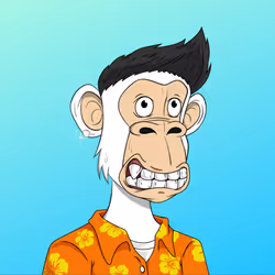 48