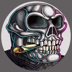 项目媒体占位符