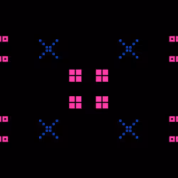 ICXN #193
