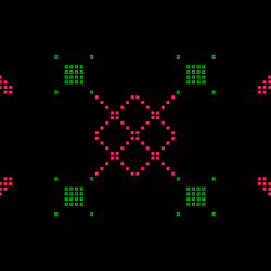 ICXN #211