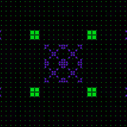 ICXN #240