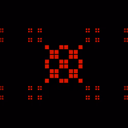 ICXN #215