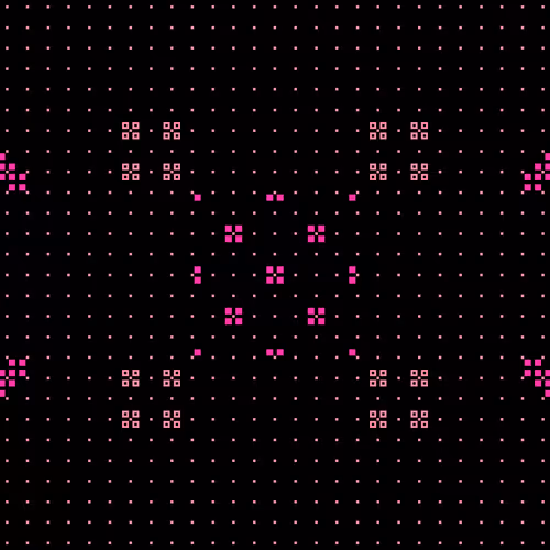 ICXN #203