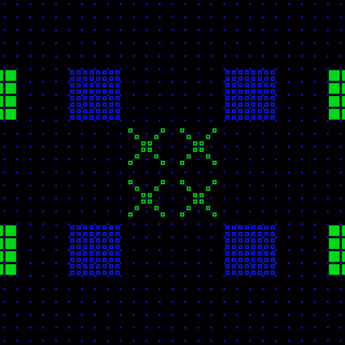 ICXN #325