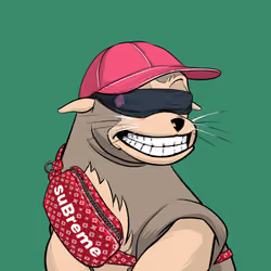 Rebel Seal #24