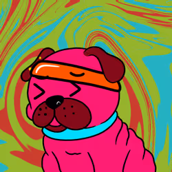 Pugz Not Drugz #169