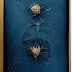 Blue Botanicals