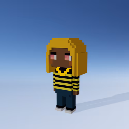 Minniesbyvoxelqueen