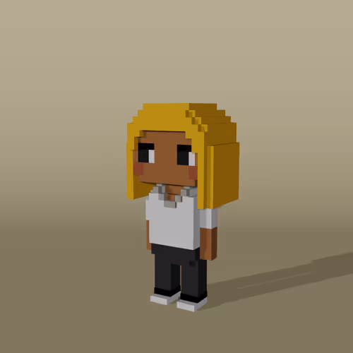 Minniesbyvoxelqueen