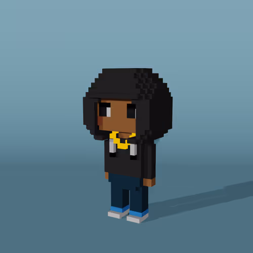 Minniesbyvoxelqueen