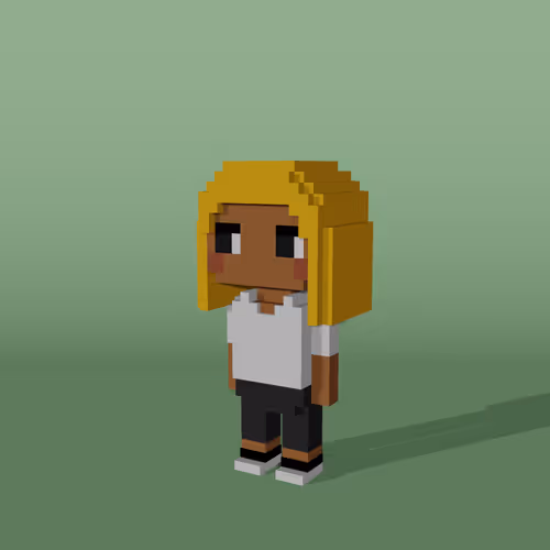 Minniesbyvoxelqueen