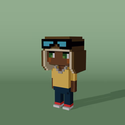 Minniesbyvoxelqueen