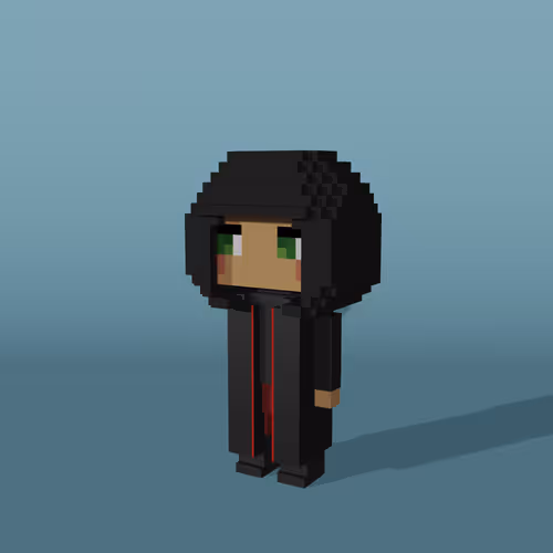Minniesbyvoxelqueen