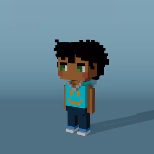 Minniesbyvoxelqueen