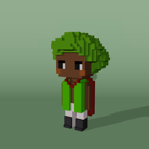 Minniesbyvoxelqueen