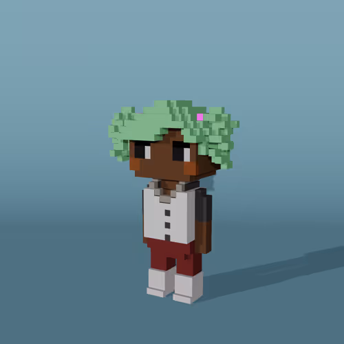 Minniesbyvoxelqueen