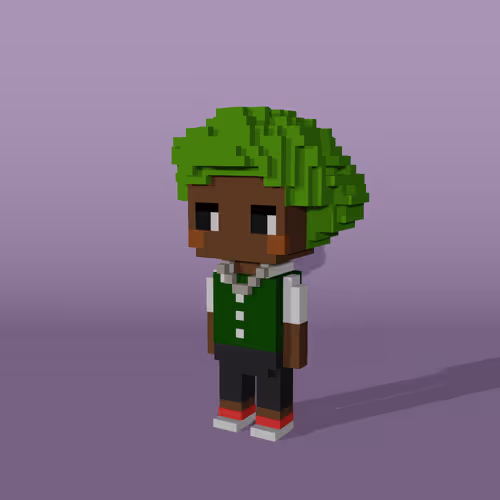Minniesbyvoxelqueen