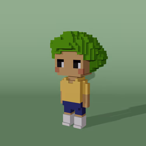 Minniesbyvoxelqueen