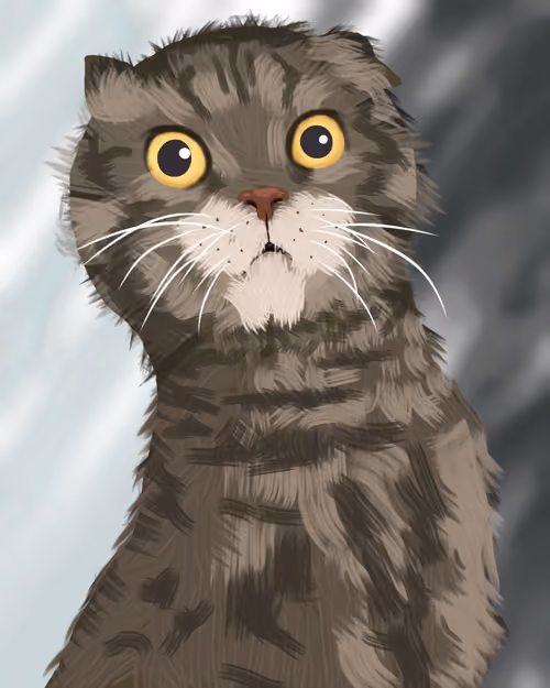 The Surprised Cat