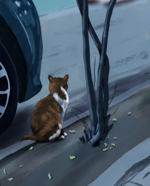 The Silent Observer
