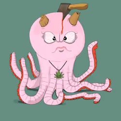 Octopus #244