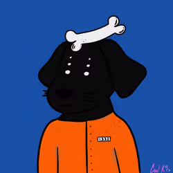 Cool K9 5