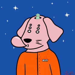 Cool K9 224